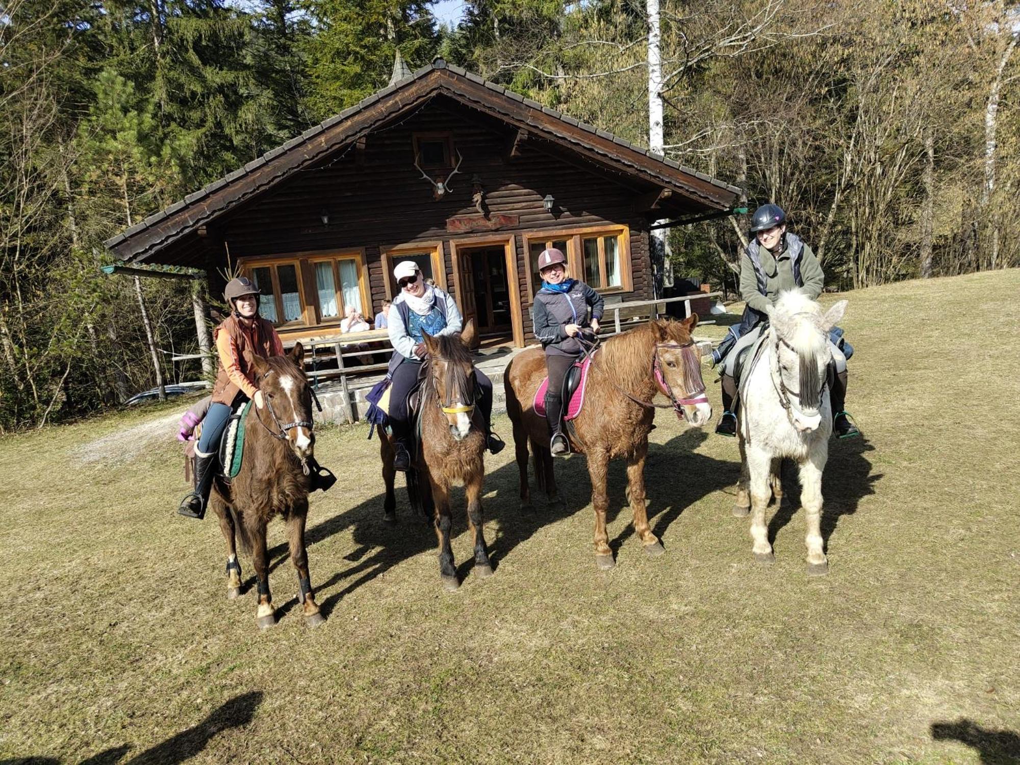 Reiterbauernhof Maho Villa Sankt Aegyd am Neuwalde ภายนอก รูปภาพ